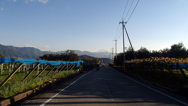 フルーツライン